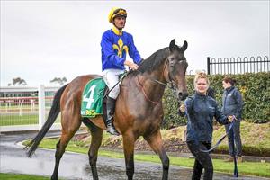Duke Of Neworleans Geelong 22 Dec 2020 Duke Of Neworleans Geelong 22 Dec 2020